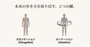 鹿児島 姿勢改善 ピラティス エロンゲーション（軸の伸長）の効果 Before After
